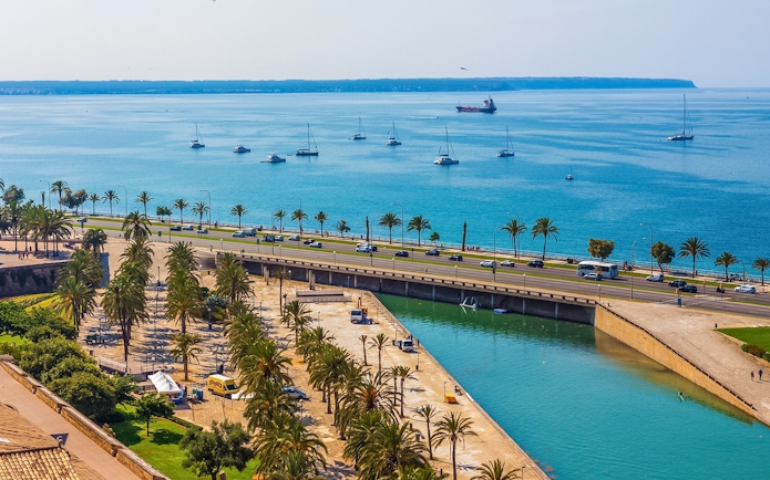 View of Palma de Mallorca waterfront with palm trees and boats, near Cathedral of Majorca terraces.