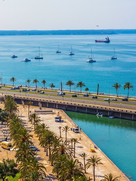 View of Palma de Mallorca waterfront with palm trees and boats, near Cathedral of Majorca terraces.