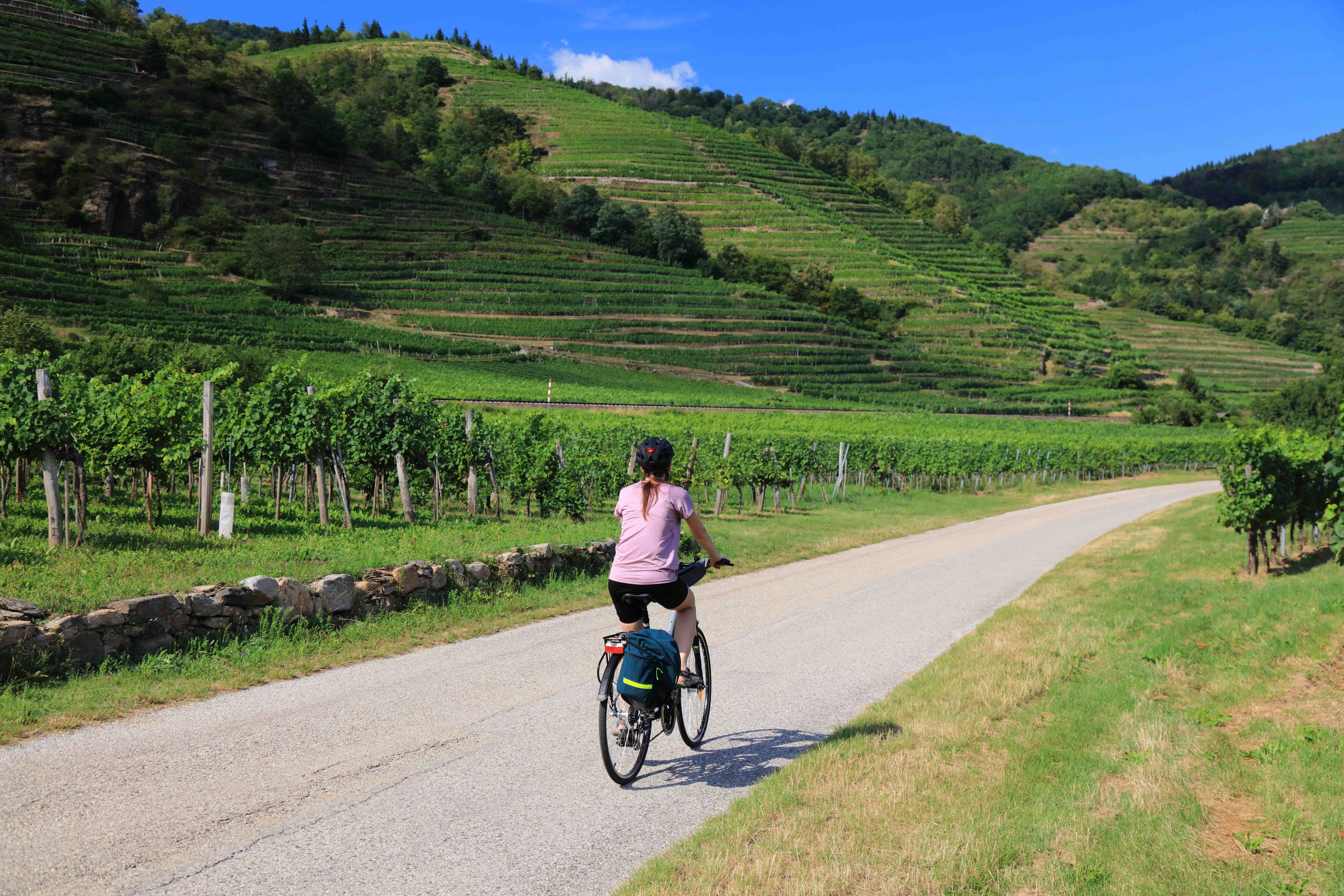 Wachau Valley vineyard landscape with Danube River and historic castle in Austria.