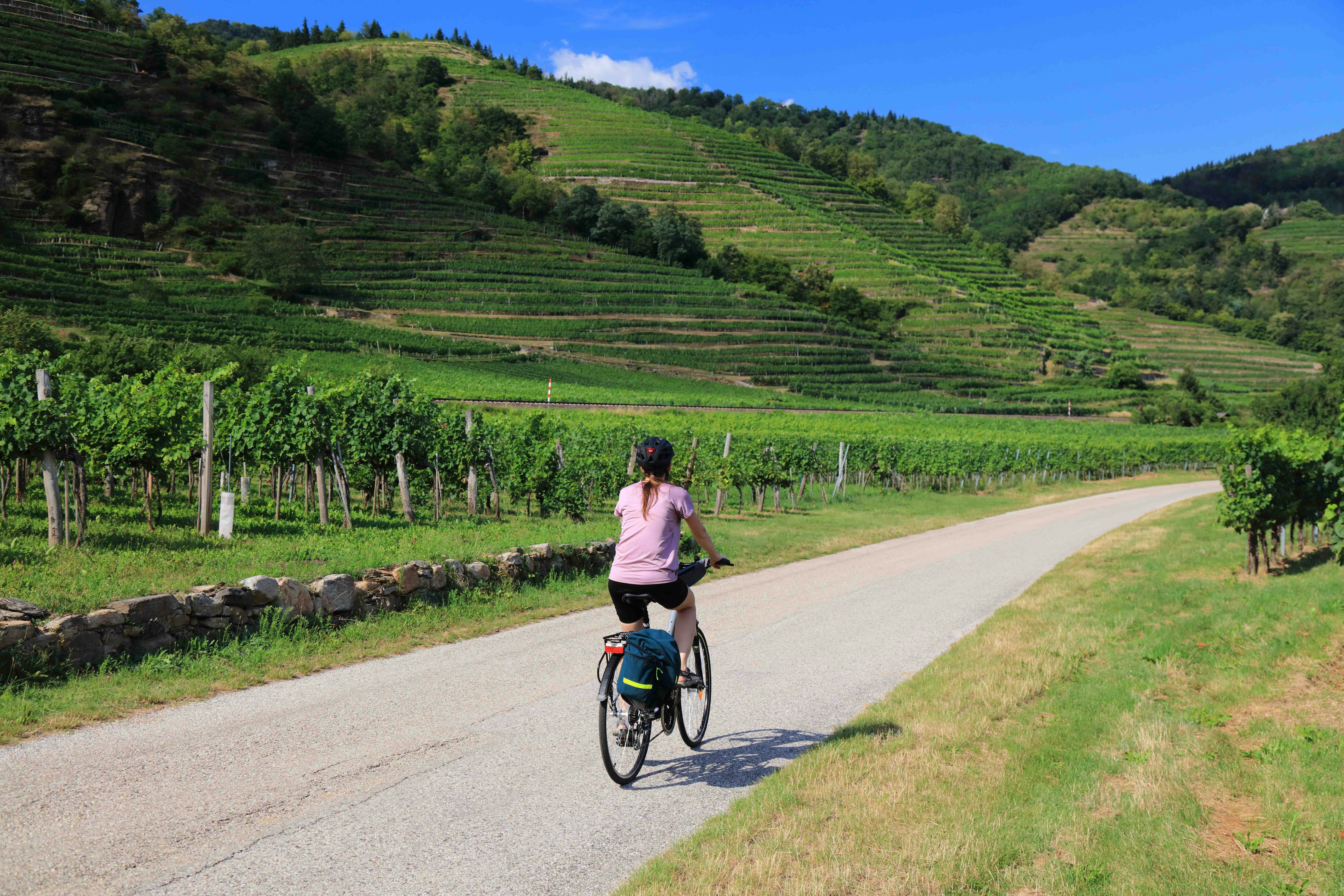 Wachau Valley vineyard landscape with Danube River and historic castle in Austria.