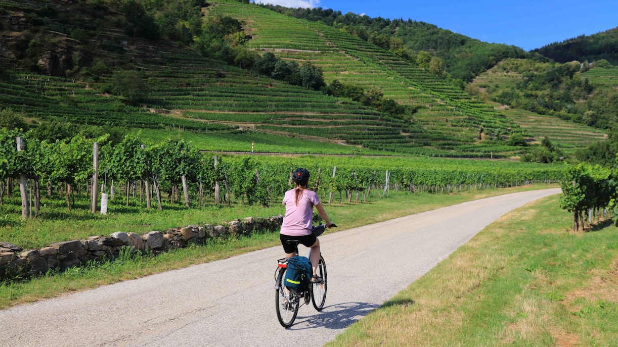 Wachau Valley vineyard landscape with Danube River and historic castle in Austria.
