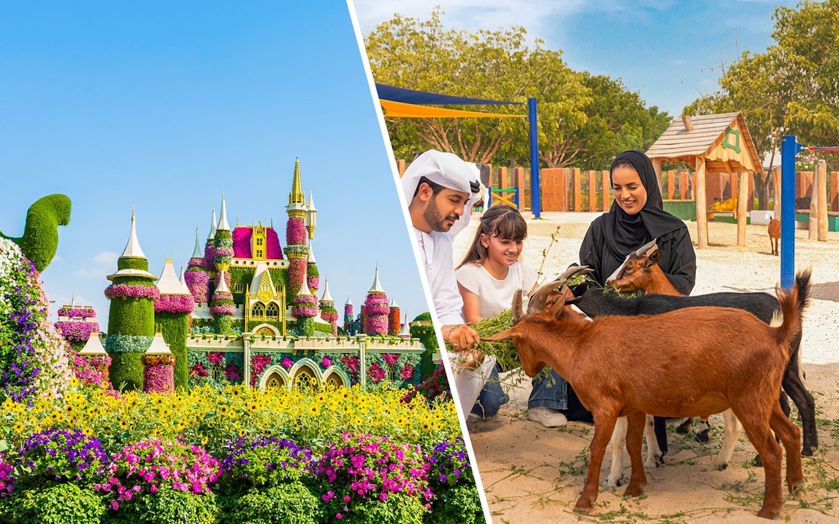 Family feeding goats at Dubai Safari Park.