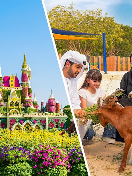Family feeding goats at Dubai Safari Park.