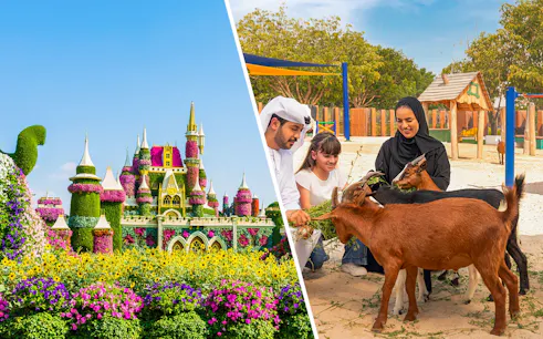 Family feeding goats at Dubai Safari Park.