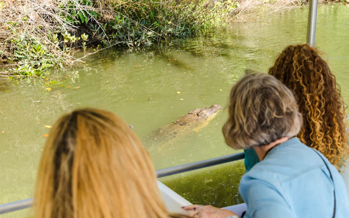 Tourists observing a crocodile in the water during Billy Tea Safaris, Daintree & Cape Tribulation.