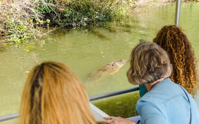 Tourists observing a crocodile in the water during Billy Tea Safaris, Daintree & Cape Tribulation.