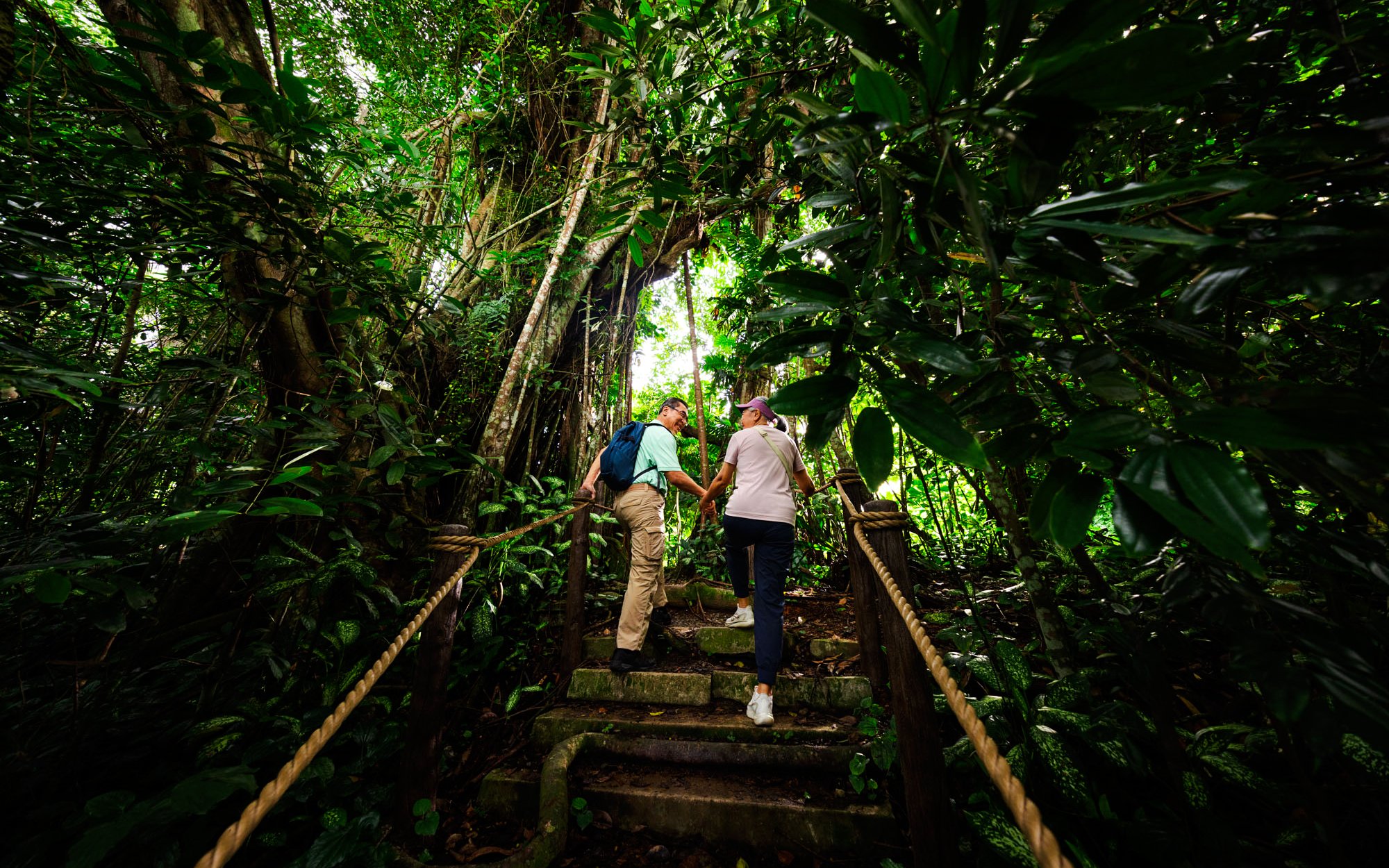 Couple hiking on a rainforest trail surrounded by lush greenery.