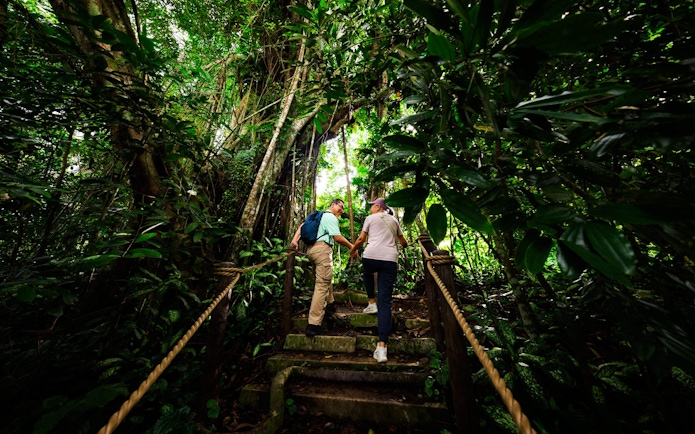 Couple hiking on a rainforest trail surrounded by lush greenery.