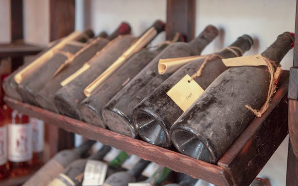 Aged wine bottles on a wooden rack in a Bulgarian winery during a guided tour of Tyulenovo, Balchik, and Varna.
