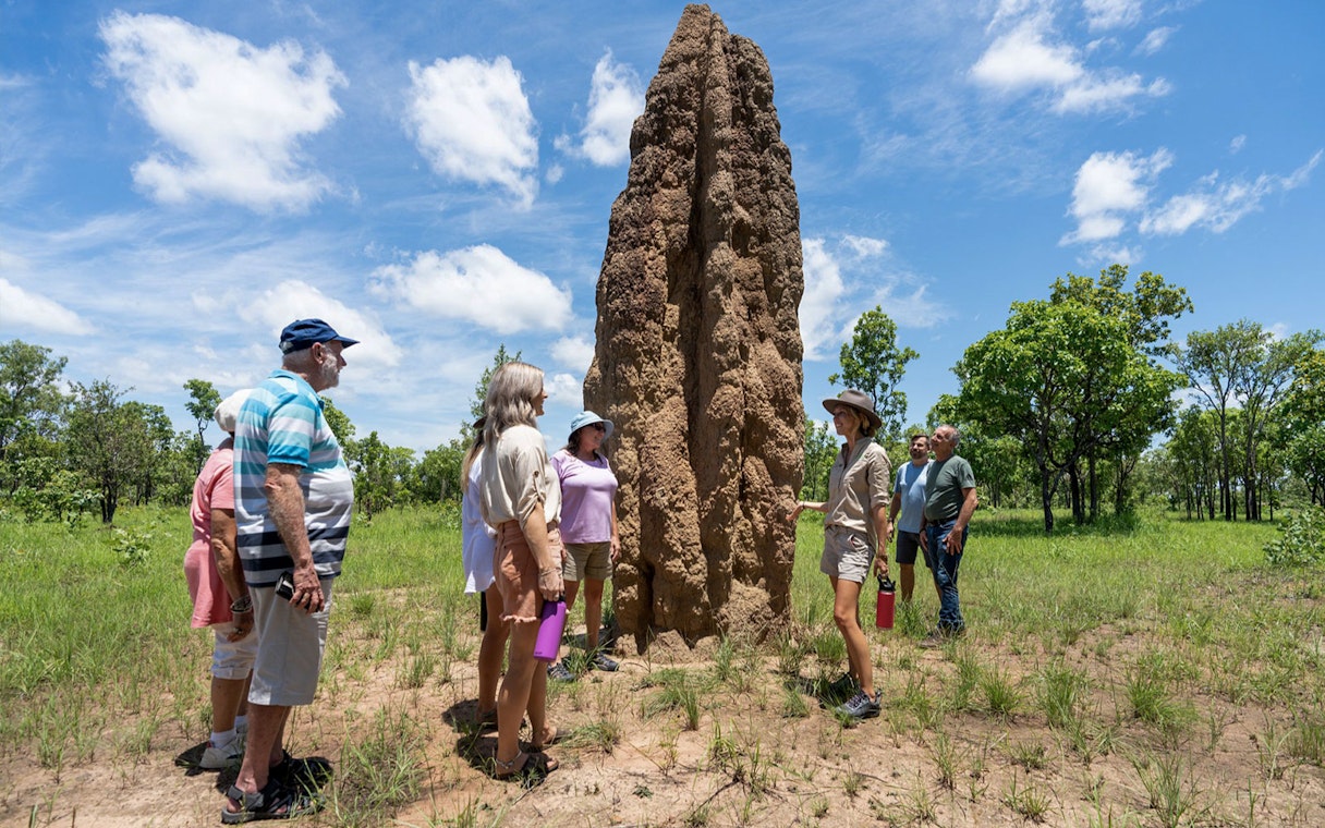 Tour group observing a large termite mound in Litchfield National Park, Northern Territory.