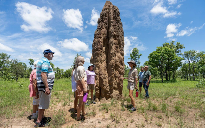 Tour group observing a large termite mound in Litchfield National Park, Northern Territory.