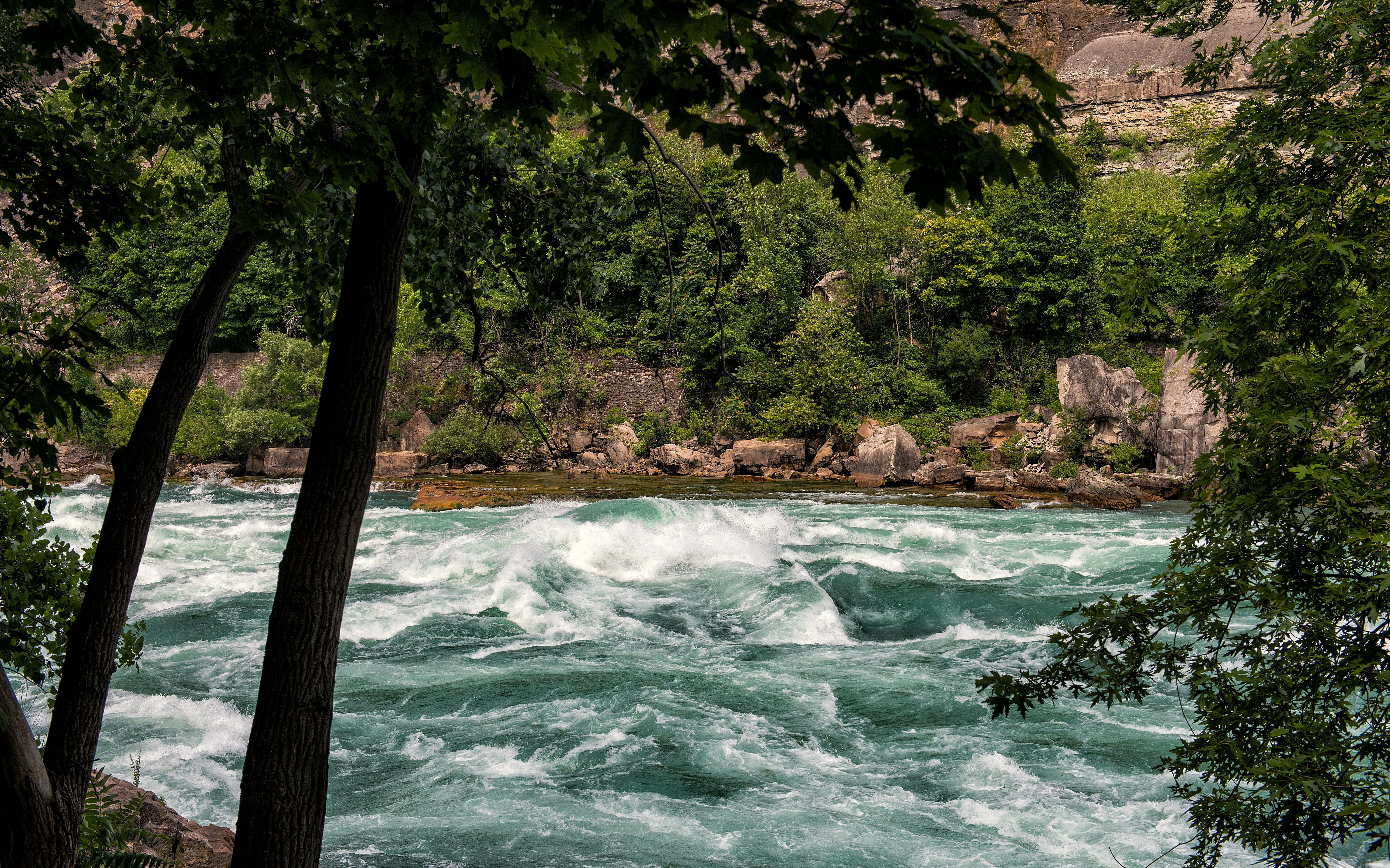 Rushing water in Niagara Gorge surrounded by lush greenery and rocky cliffs.