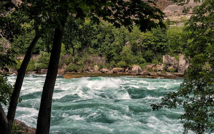 Rushing water in Niagara Gorge surrounded by lush greenery and rocky cliffs.