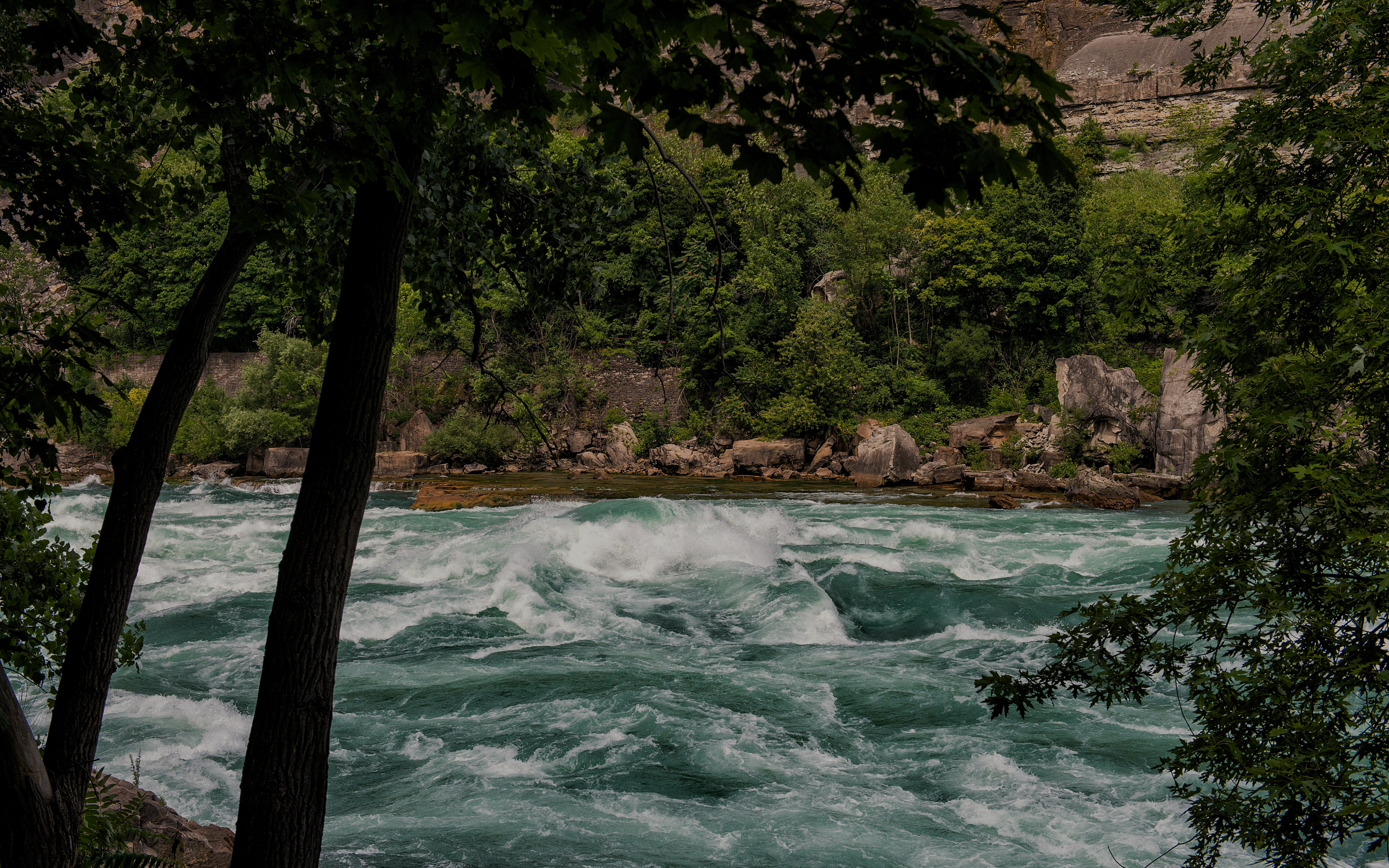 Rushing water in Niagara Gorge surrounded by lush greenery and rocky cliffs.