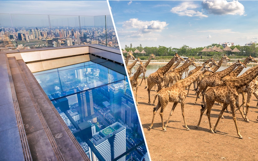 Mahanakhon SkyWalk glass floor view and giraffes at Safari World, Bangkok.
