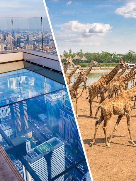 Mahanakhon SkyWalk glass floor view and giraffes at Safari World, Bangkok.