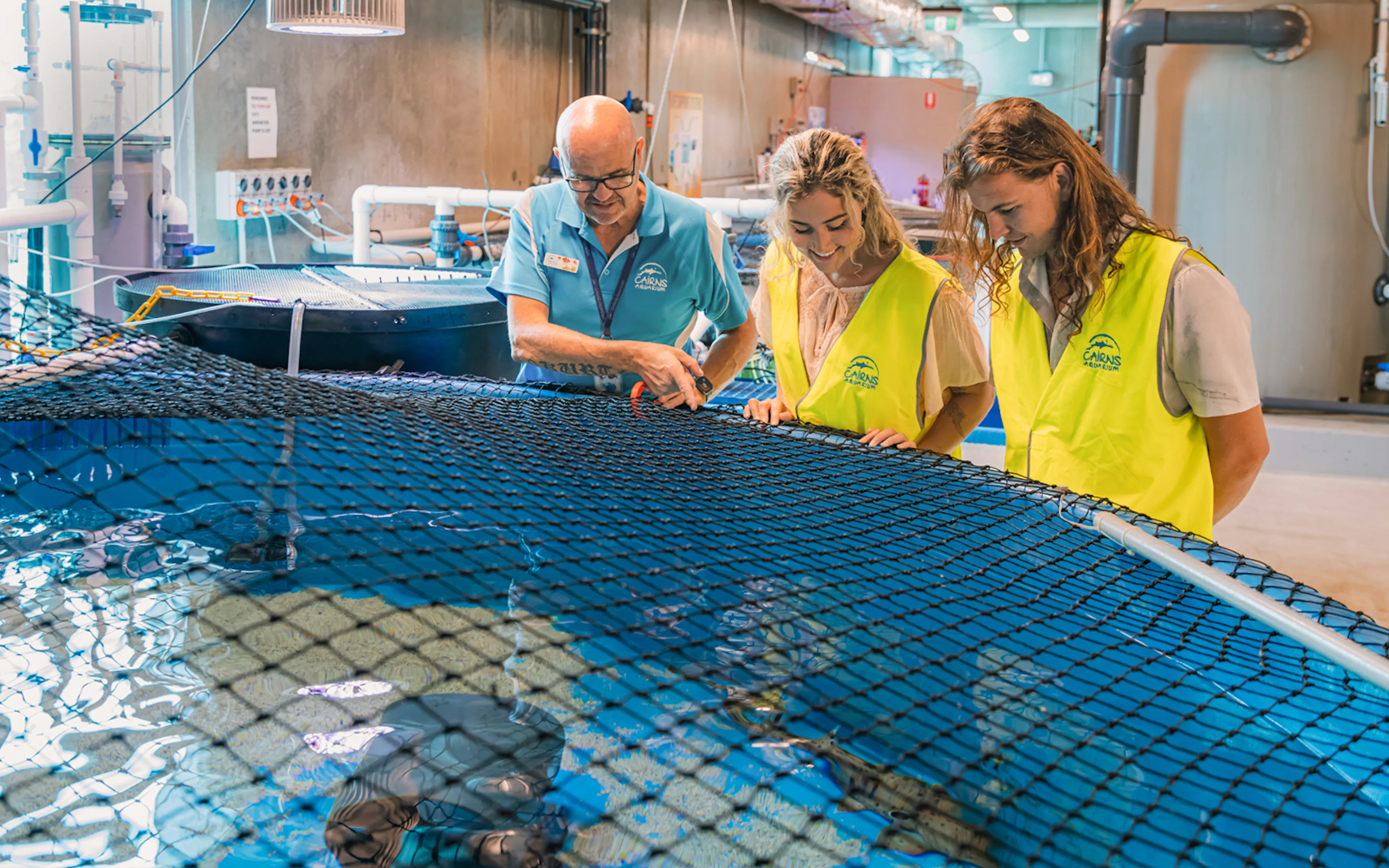Guided tour group observing marine life at Cairns Aquarium.