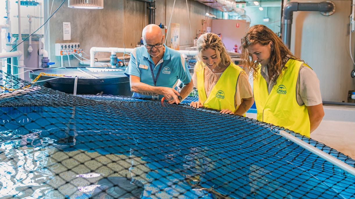 Cairns Aquarium guided tour showcasing diverse marine life exhibits.