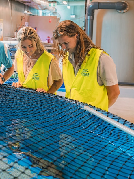 Guided tour group observing marine life at Cairns Aquarium.