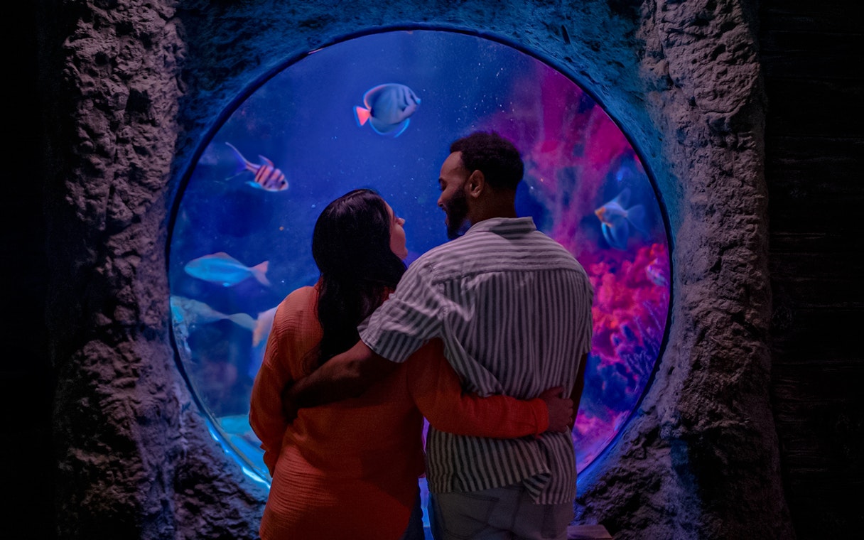 Couple viewing fish through shipwreck bubble at Sea Life Orlando.