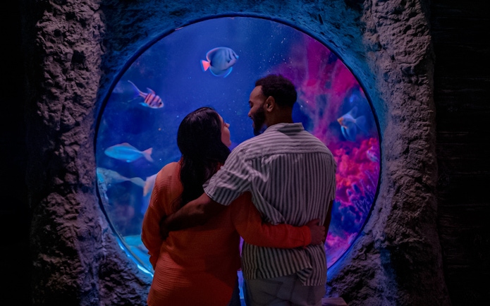 Couple viewing fish through shipwreck bubble at Sea Life Orlando.