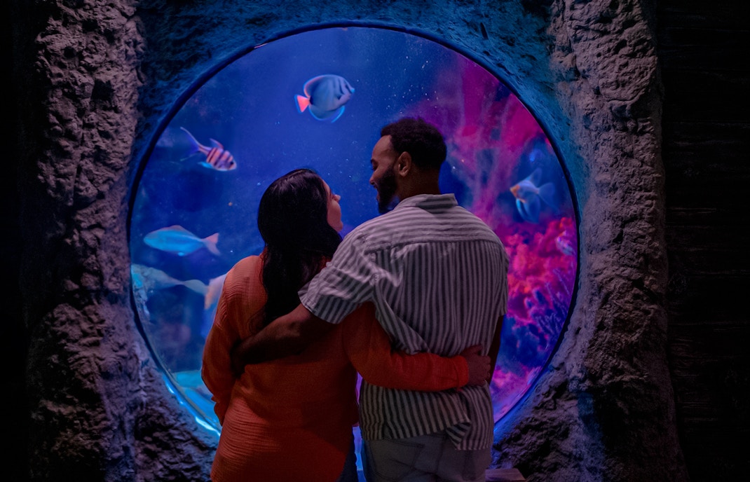 Couple viewing fish through shipwreck bubble at Sea Life Orlando.