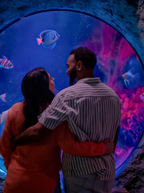 Couple viewing fish through shipwreck bubble at Sea Life Orlando.