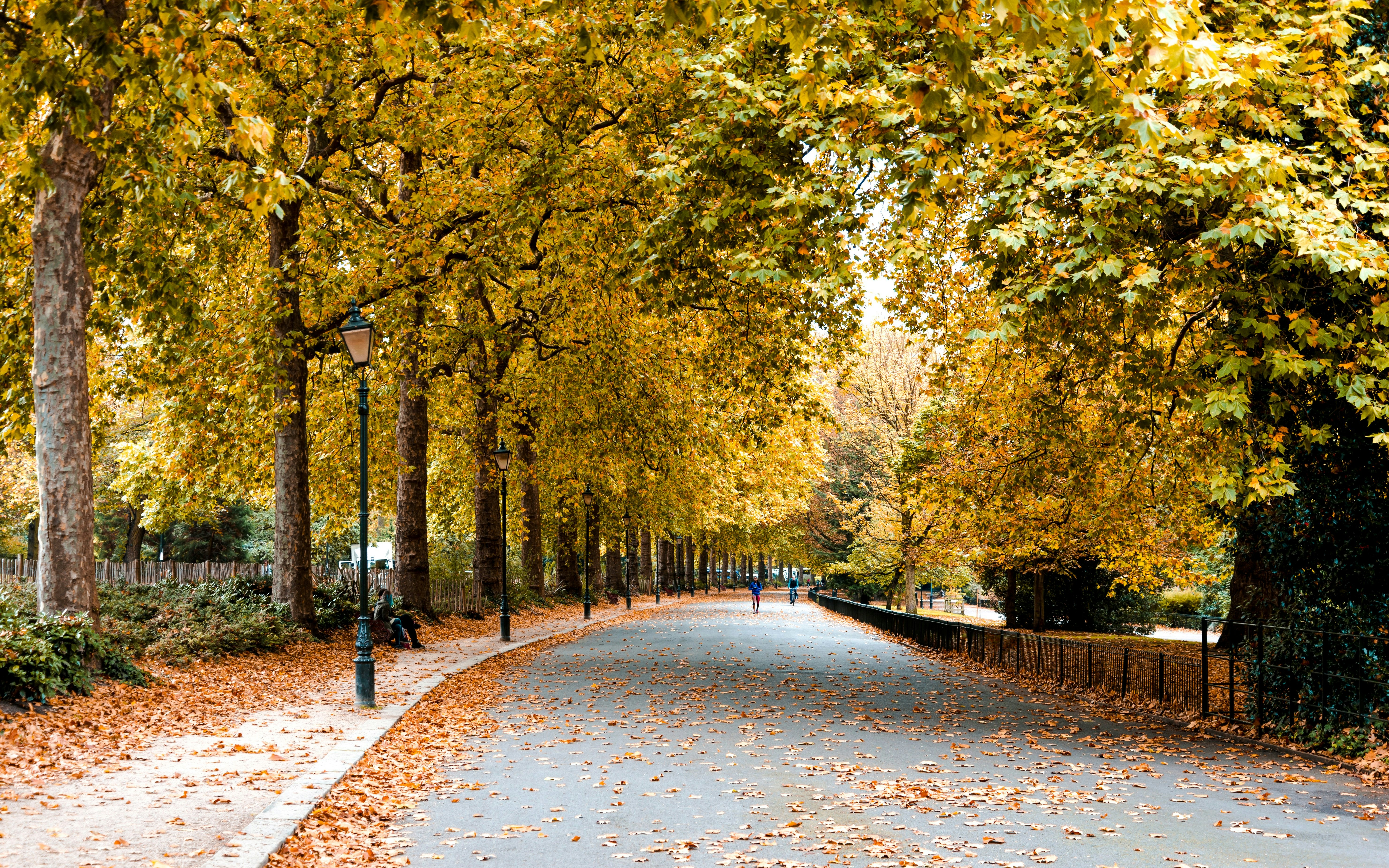Pathway lined with autumn trees in Battersea Park, London.