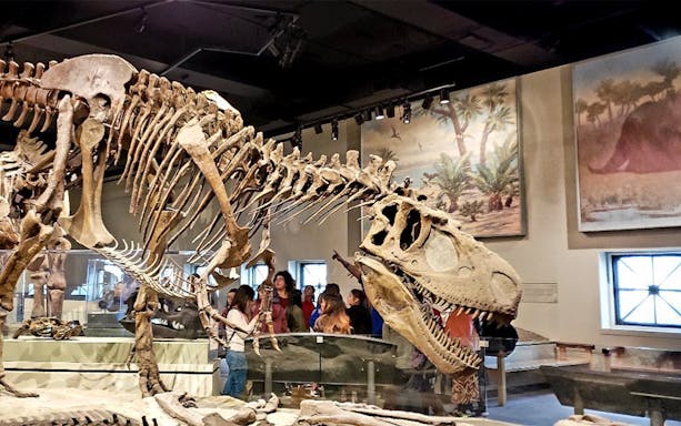 Tyrannosaurus rex fossil exhibit at the Field Museum of Natural History.