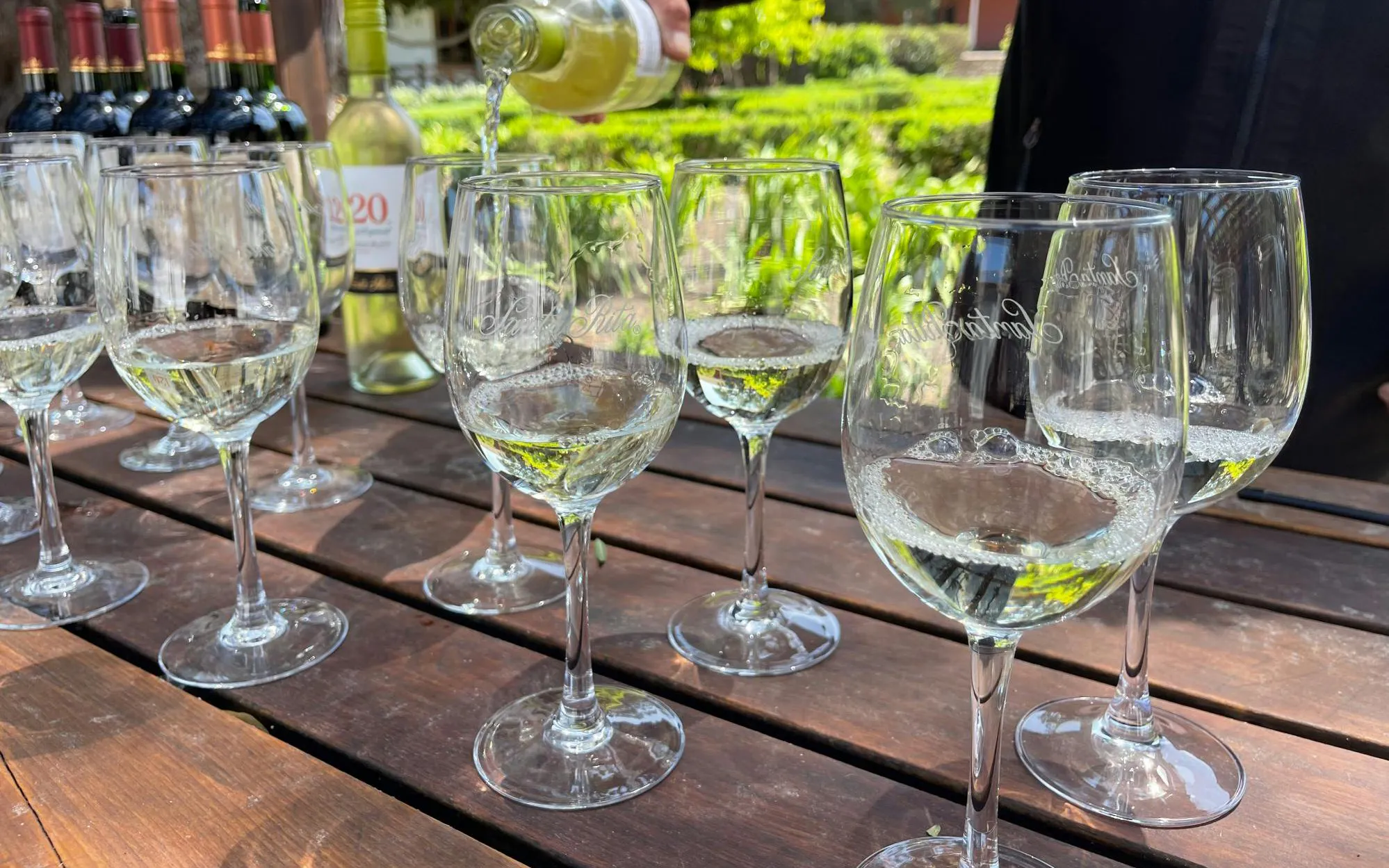 Santa Rita Vineyard Tour: History, Wine, and Outdoor Picnic Image 11