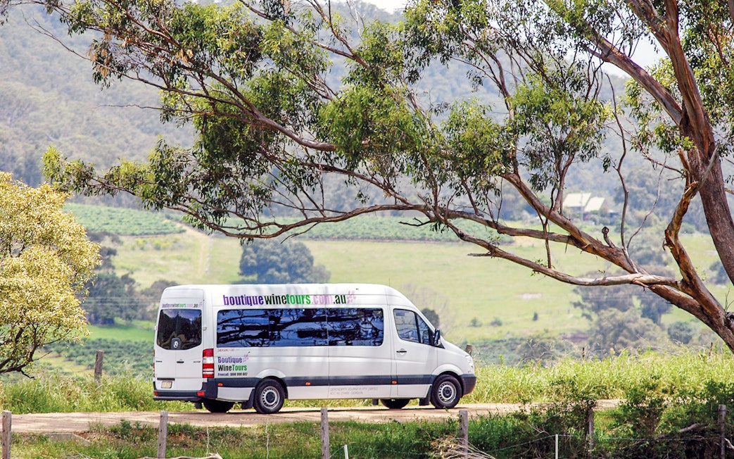 Hunter Valley wine tour van driving through vineyard landscape.