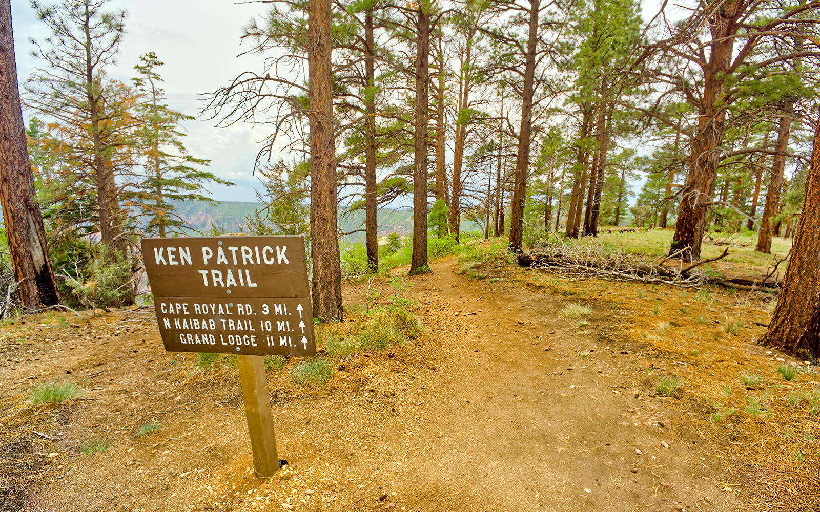 Hikers on Ken Patrick Trailhead, Grand Canyon North Rim, surrounded by pine trees and canyon views.