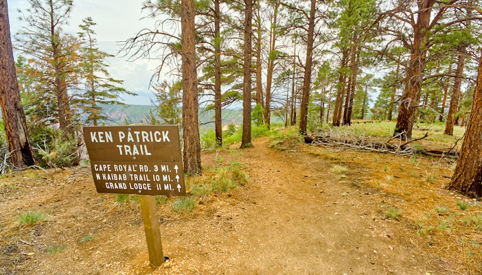 Hikers on Ken Patrick Trailhead, Grand Canyon North Rim, surrounded by pine trees and canyon views.