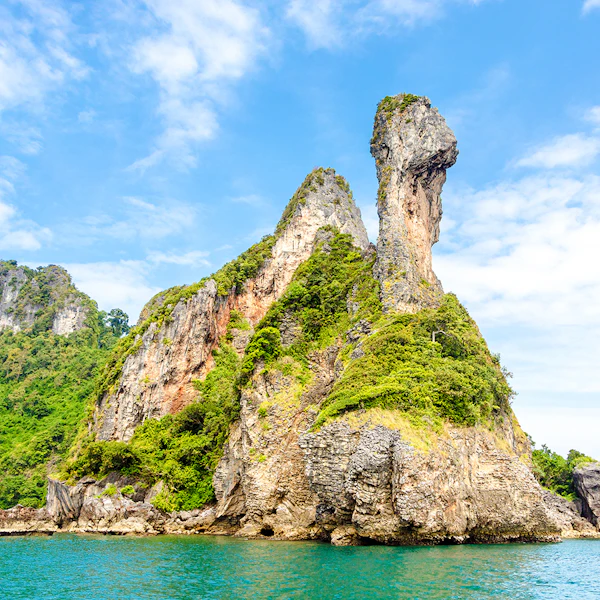 Chicken Island