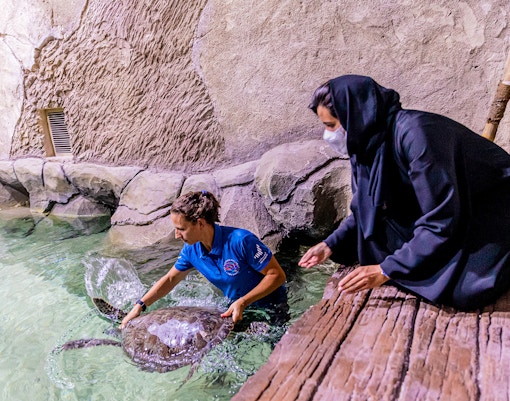 Programma di salvataggio della fauna selvatica degli Emirati Arabi Uniti