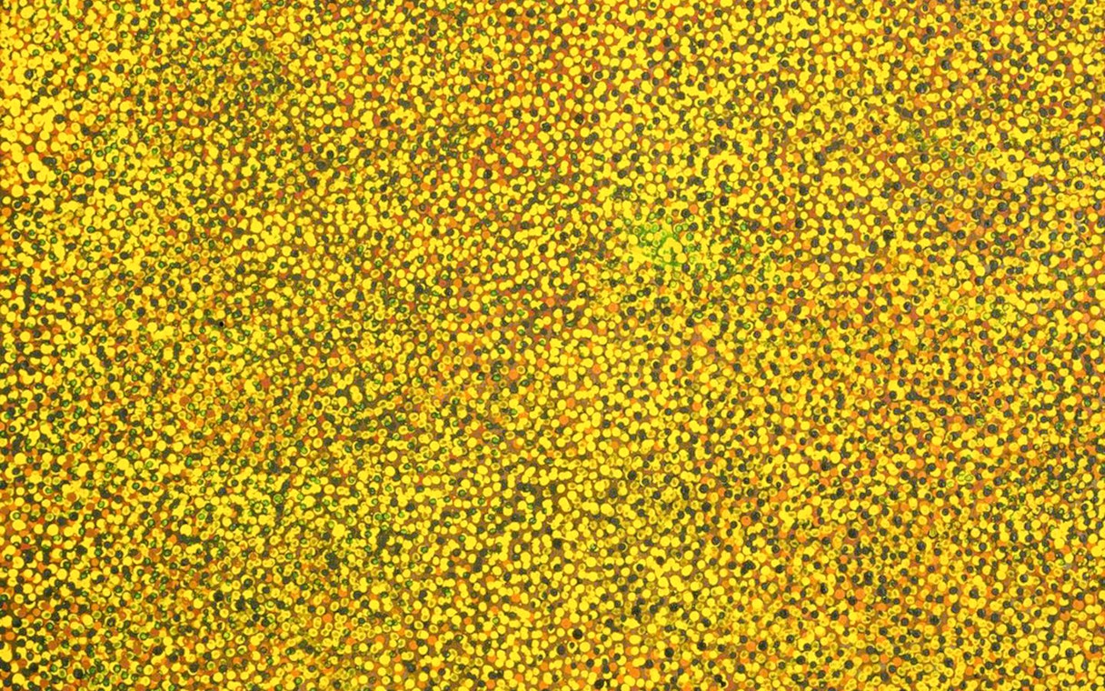 Abstract dot painting by Emily Kame Kngwarreye at Tate Modern.