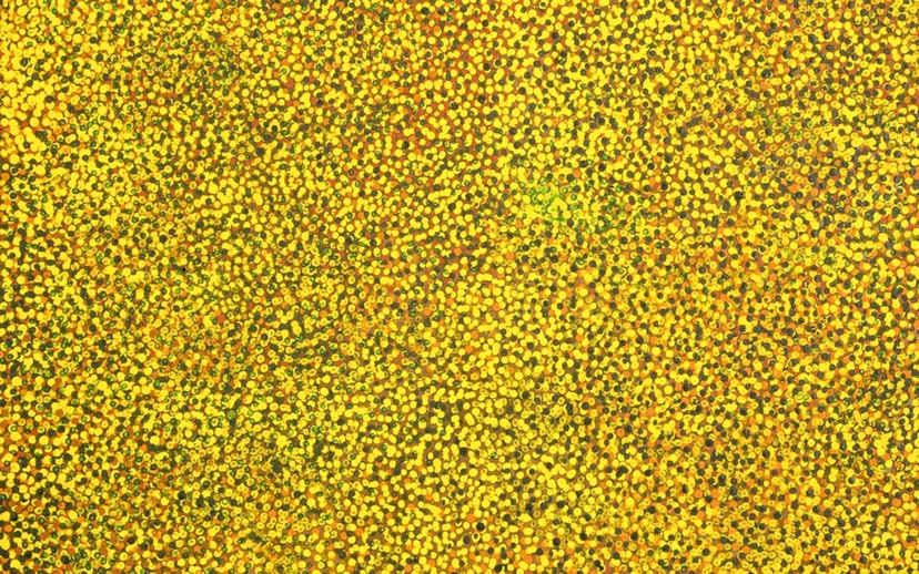 Abstract dot painting by Emily Kame Kngwarreye at Tate Modern.