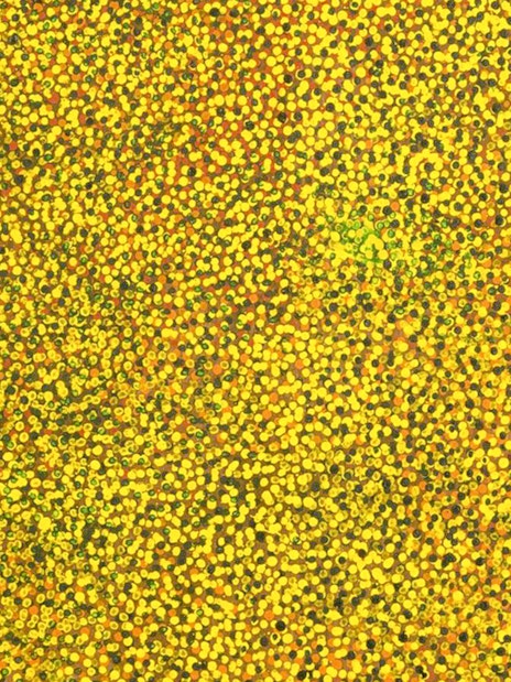 Abstract dot painting by Emily Kame Kngwarreye at Tate Modern.