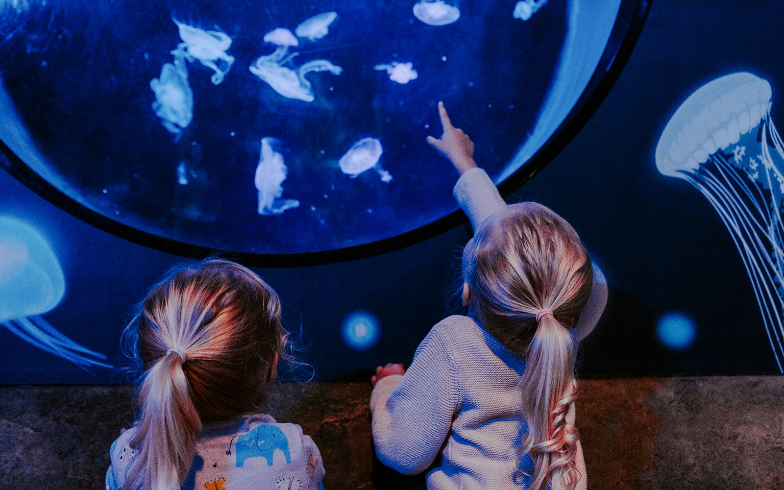 Children observing jellyfish at SEA Life Brighton.