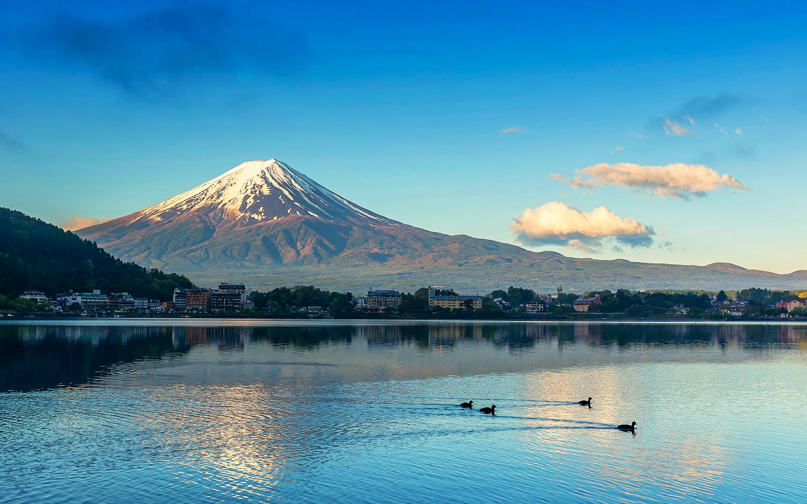 Kawaguchi Lake with Mount Fuji in the background, Tokyo guided tour.