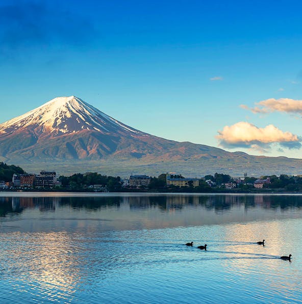 How to go from Tokyo to Fuji: By train, bus, or car?