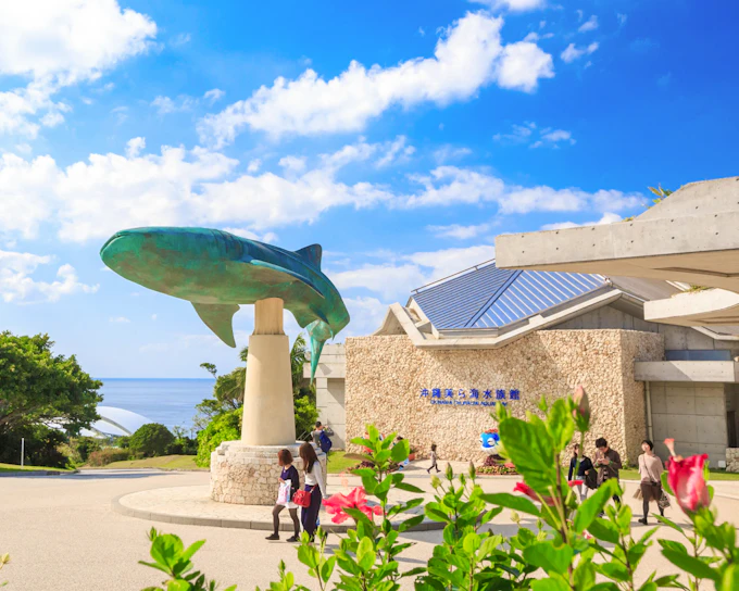 Okinawa Hip Hop Bus Tour with Churaumi Aquarium, Glass Boat Ride & American Village