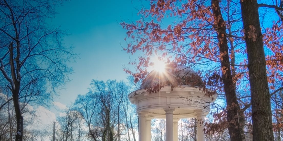 Discover the best things to do in Leipzig