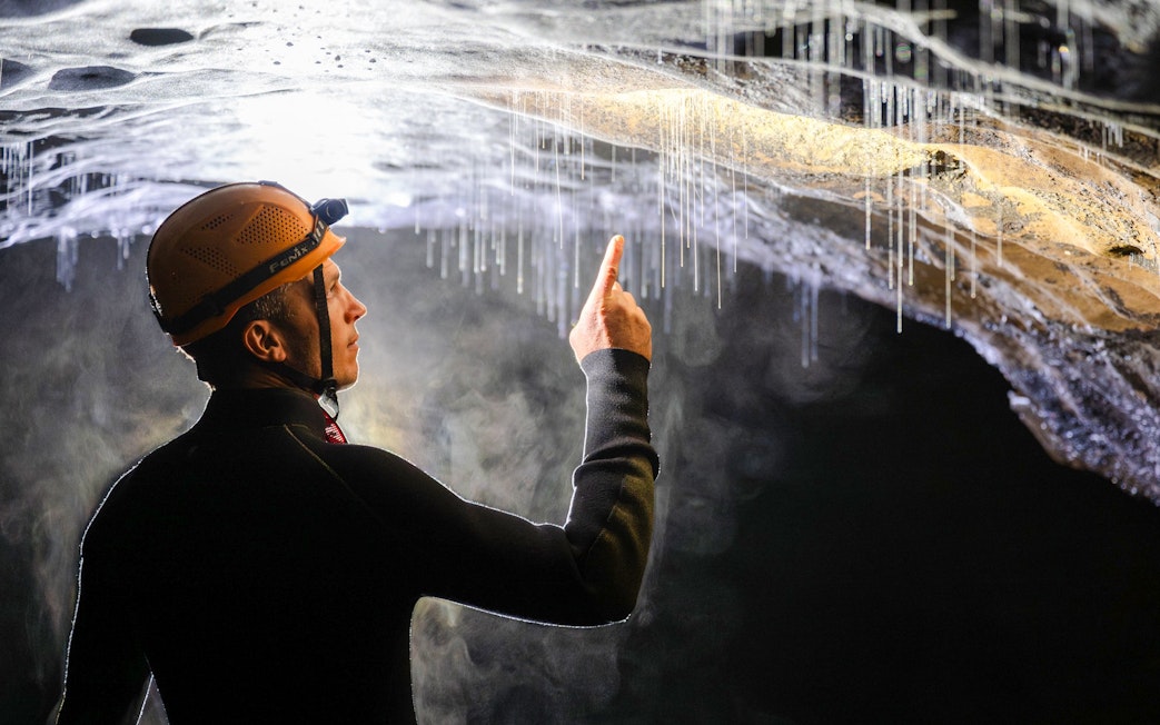 Person exploring Okohua Glowworm Cave, pointing at glowworms on the ceiling.