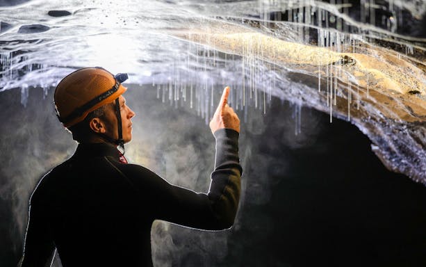 Person exploring Okohua Glowworm Cave, pointing at glowworms on the ceiling.
