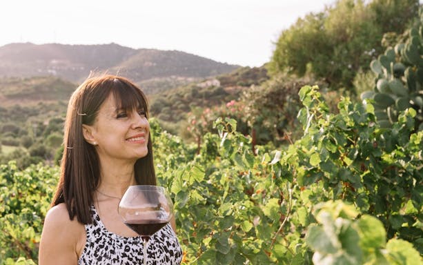 gallura winery guided tour with local wine tasting and sardinian appetizers in olbia-4