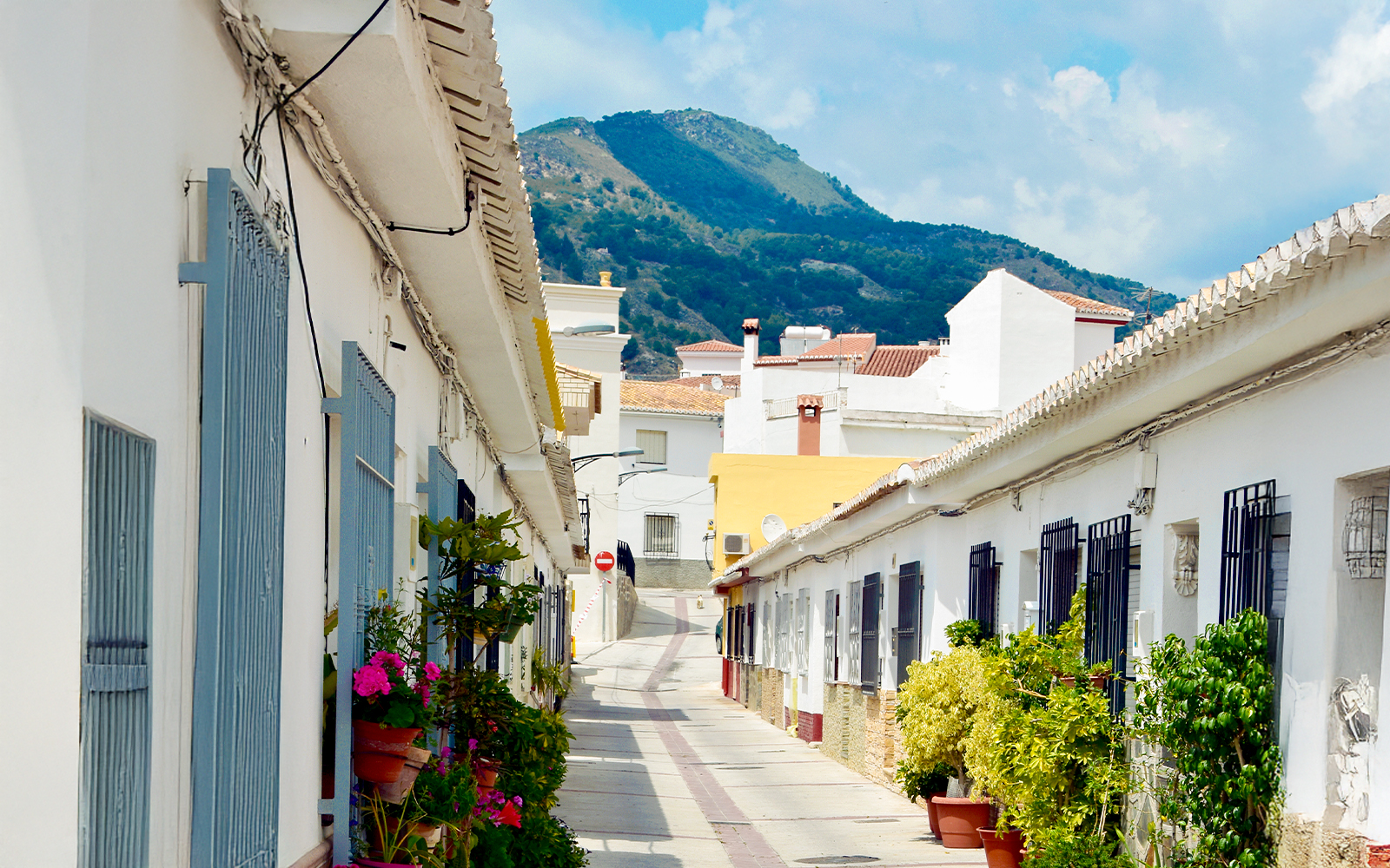 Pampaneira street lined with white houses and potted plants on a sunny day.