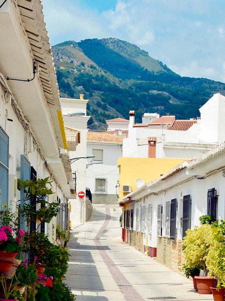 Pampaneira street lined with white houses and potted plants on a sunny day.