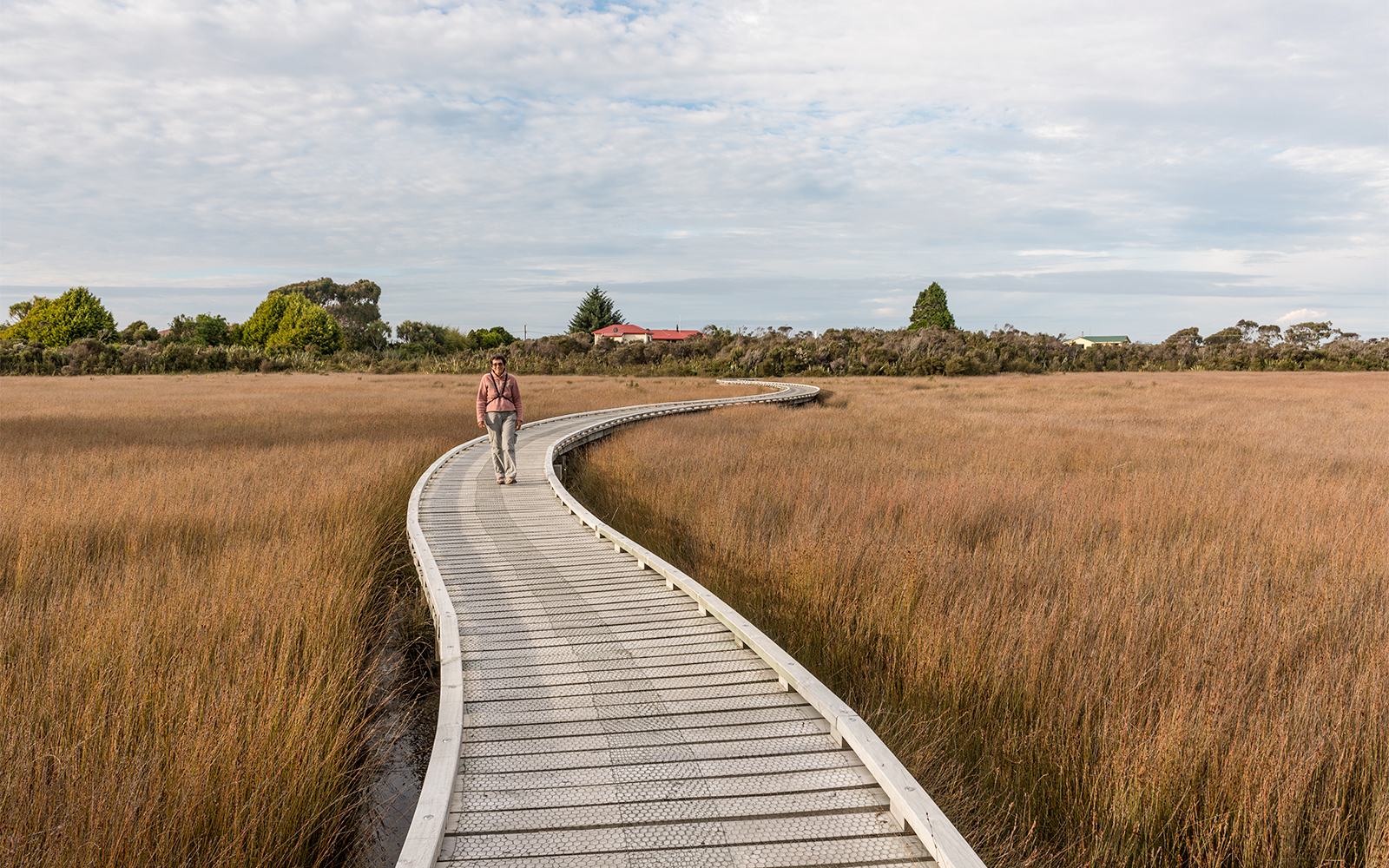 Three Mile Pack track - Okarito Coastal walk