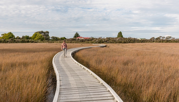 Three Mile Pack track - Okarito Coastal walk